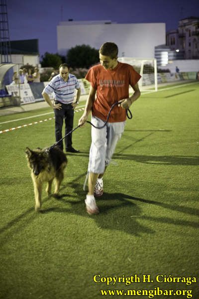 Concurso Canino 