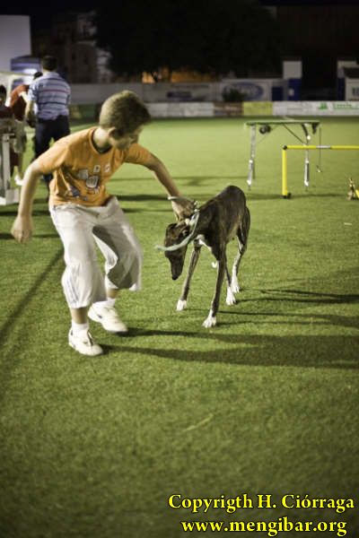 Concurso Canino 