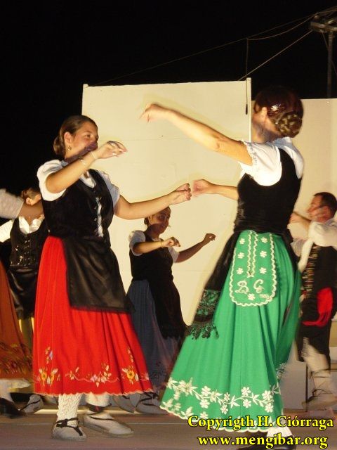 Muestra Provincial de Bailes 11