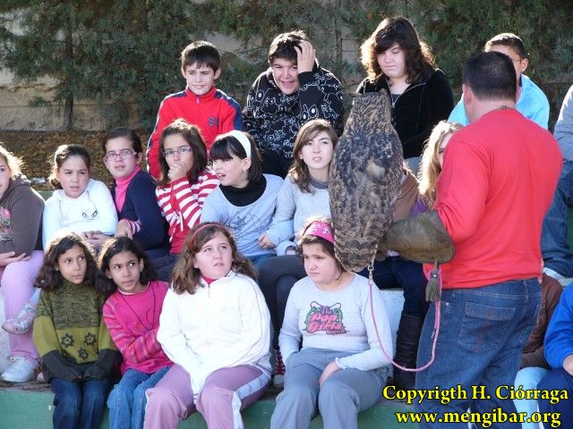 Exbicin de rapaces en el Colegio Jos Plata-4-12-2009_61