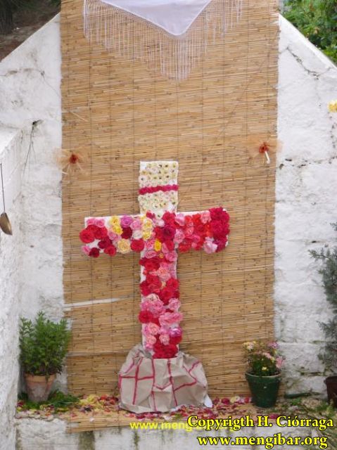Cruces de Mayo 2006 12